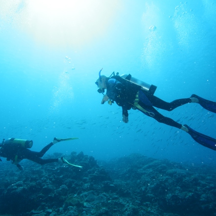 Divers at the Great Barrier Reef