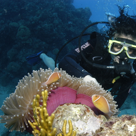 Explore Group | Whitsunday Islands | Half day dive the inner fringing reef