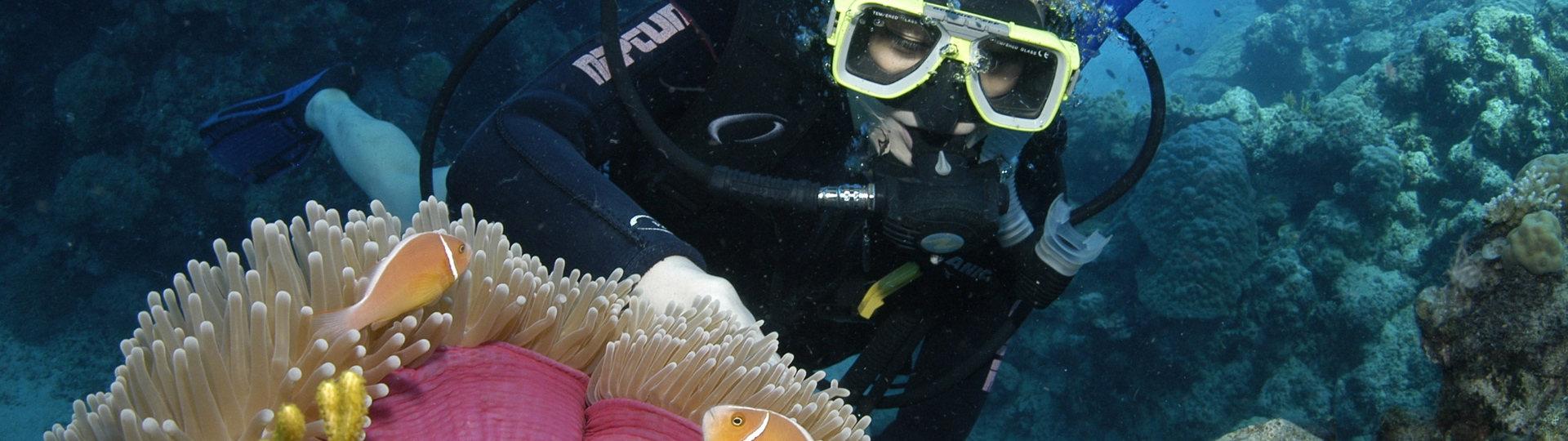 Explore Group | Whitsunday Islands | Half day dive the inner fringing reef