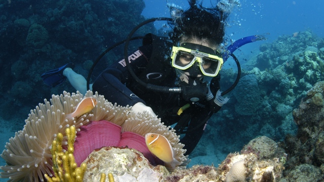 Explore Group | Whitsunday Islands | Half day dive the inner fringing reef