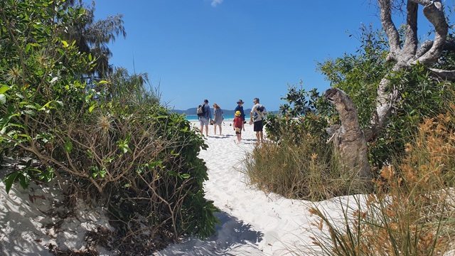 Explore Group | Hamilton Island | Hill Inlet guided walk - Whitehaven Beach