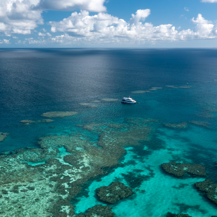 Explore Group | Airlie Beach | Great Barrier Reef full day adventures