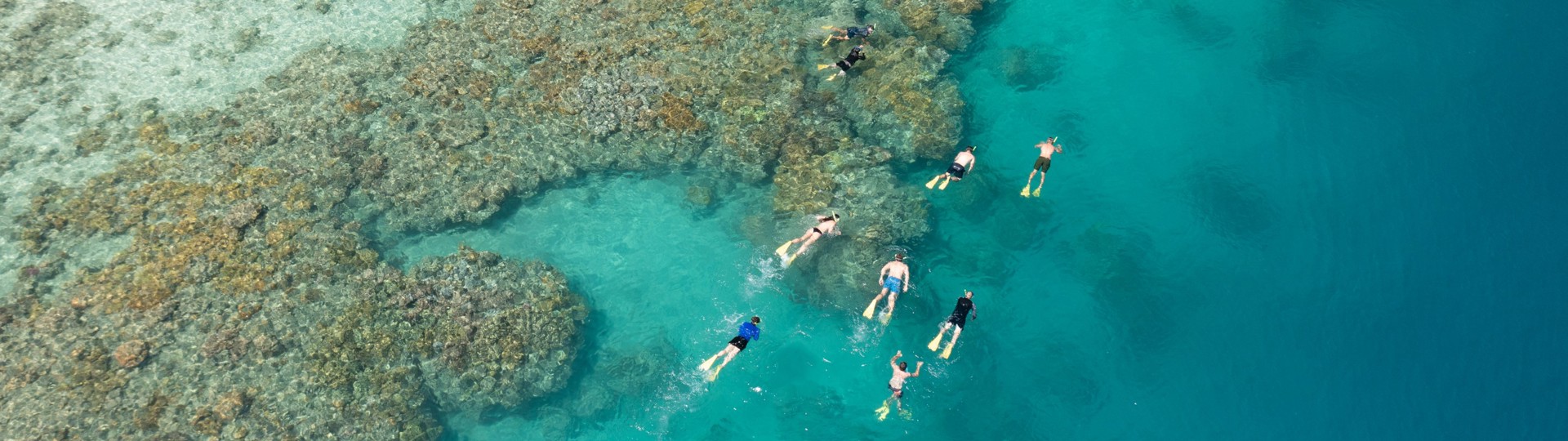 Explore Group | Hamilton Island, Whitsundays | Snorkel the fringing reef departing Hamilton Island