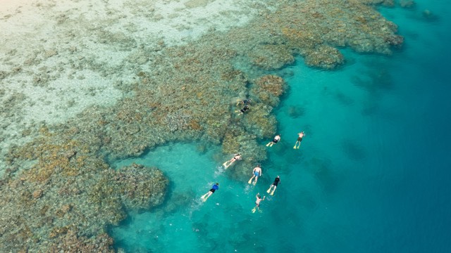 Explore Group | Hamilton Island, Whitsundays | Snorkel the fringing reef departing Hamilton Island
