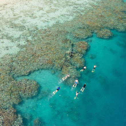 Explore Group | Hamilton Island, Whitsundays | Snorkel the fringing reef departing Hamilton Island