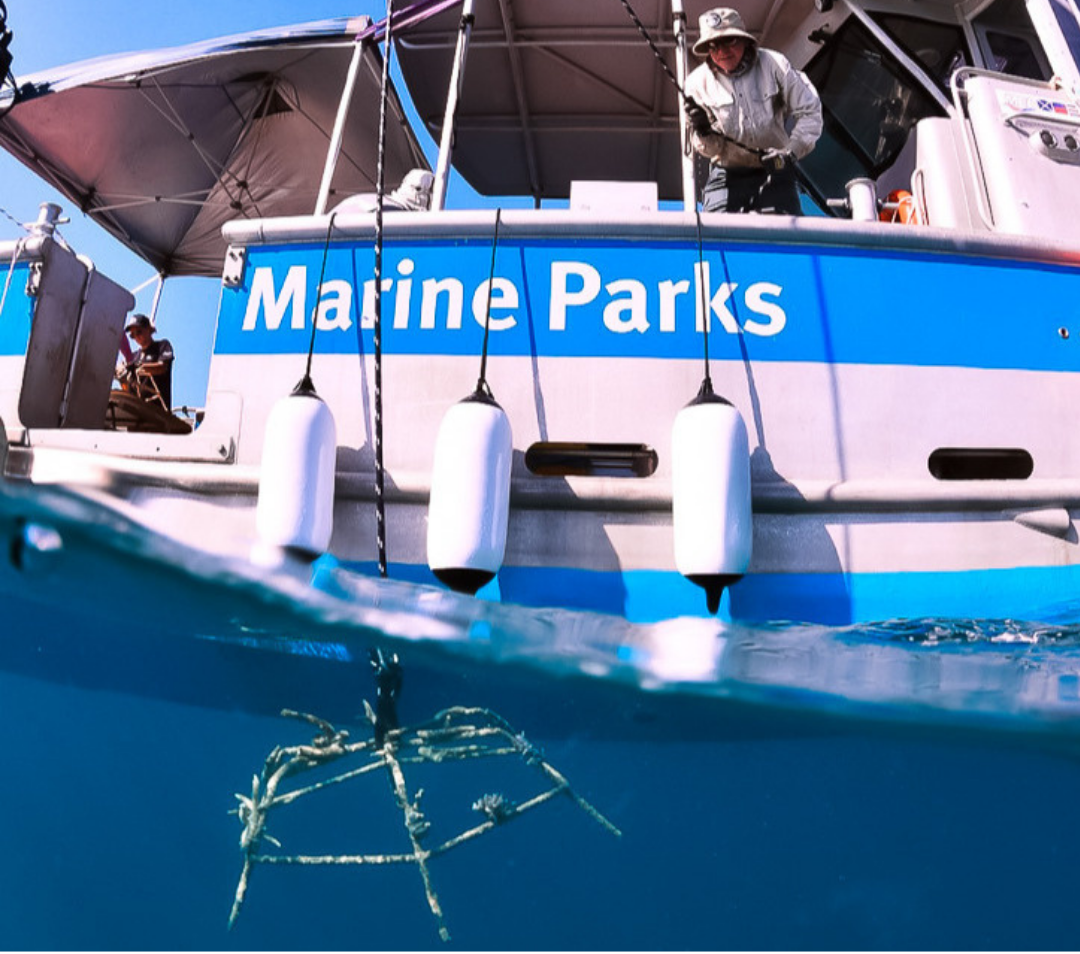 Marine Parks vessel lowering a MARRS reef star into the water at Bait Reef