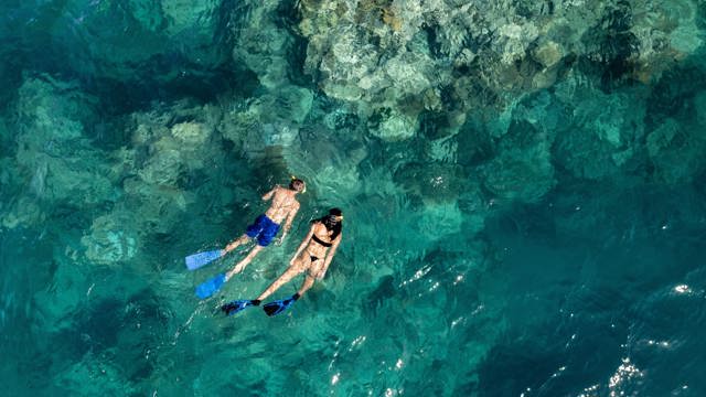 Explore Group | Great Barrier Reef, Whitsundays | Snorkel the Great Barrier Reef from our premium vessel