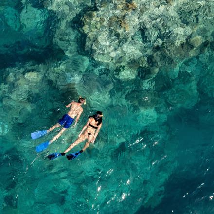 Explore Group | Great Barrier Reef, Whitsundays | Snorkel the Great Barrier Reef from our premium vessel