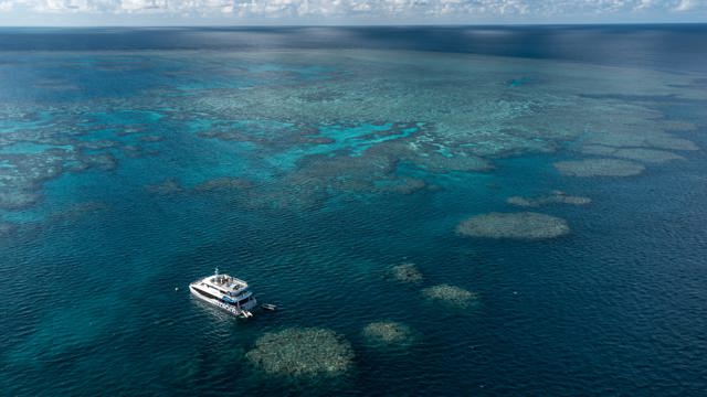 Explore Group | Great Barrier Reef | Full Day Dive or Snorkel on our premium cruise fleet