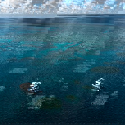 Explore Group | Great Barrier Reef | Full Day Dive or Snorkel on our premium cruise fleet