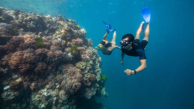 Explore Group | Airlie Beach, Whitsundays | Full day snorkel to the Great Barrier Reef
