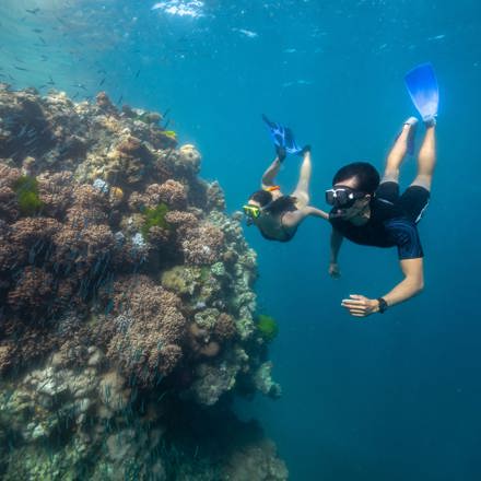 Explore Group | Airlie Beach, Whitsundays | Full day snorkel to the Great Barrier Reef