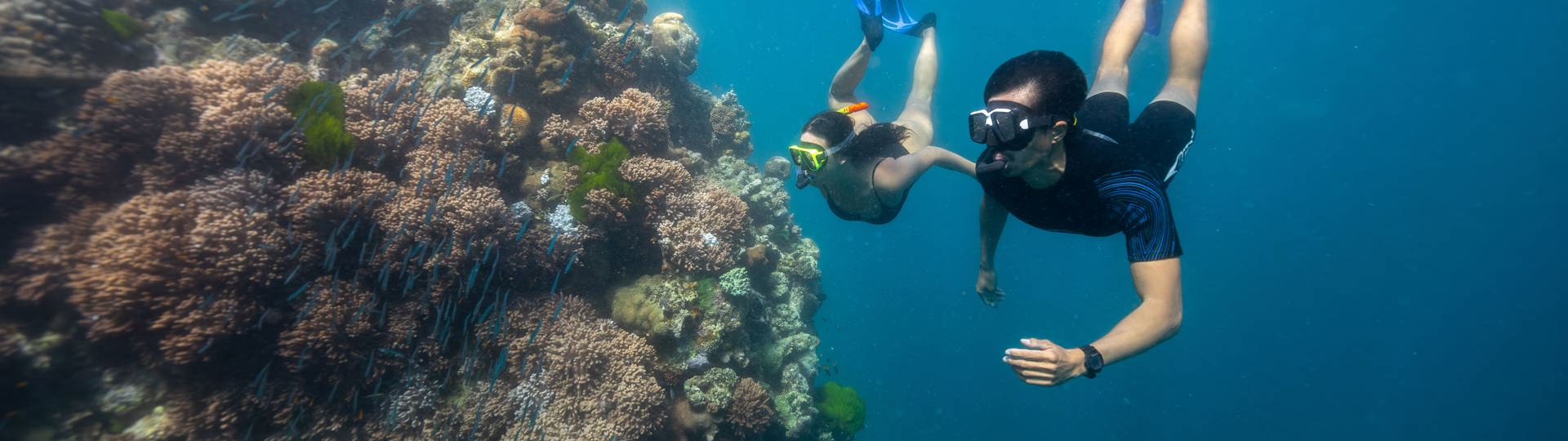 Explore Group | Airlie Beach, Whitsundays | Full day snorkel to the Great Barrier Reef