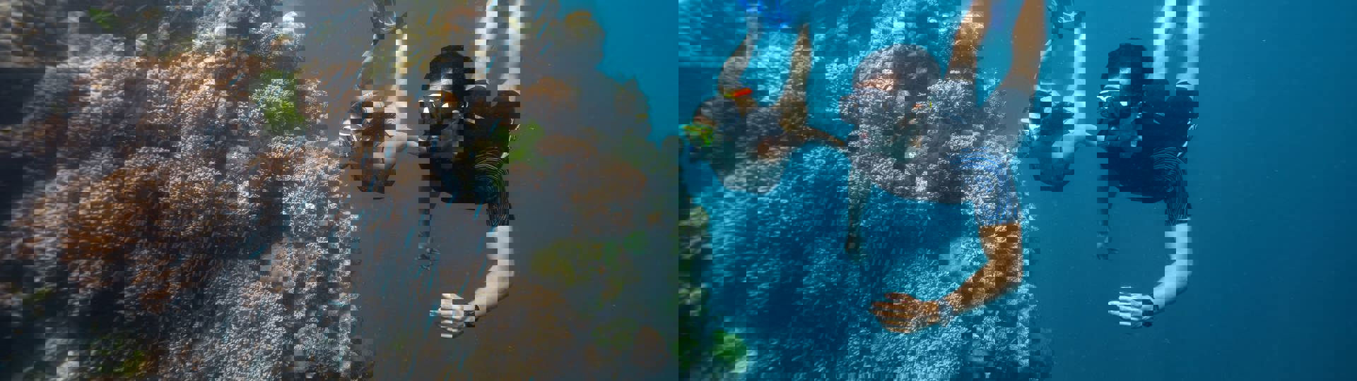 Explore Group | Airlie Beach, Whitsundays | Full day snorkel to the Great Barrier Reef