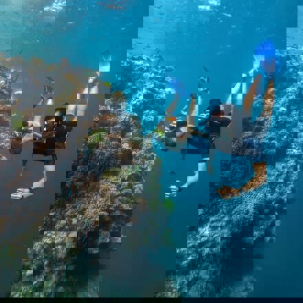 Explore Group | Airlie Beach, Whitsundays | Full day snorkel to the Great Barrier Reef